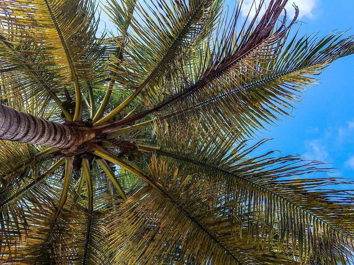 Blue Paradise Apartment Le Gosier  Guadeloupe
